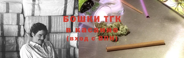 ECSTASY Алзамай