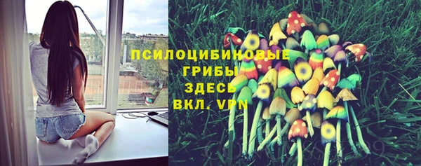 метадон Алексеевка