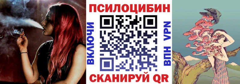 Псилоцибиновые грибы MAGIC MUSHROOMS  Сясьстрой 